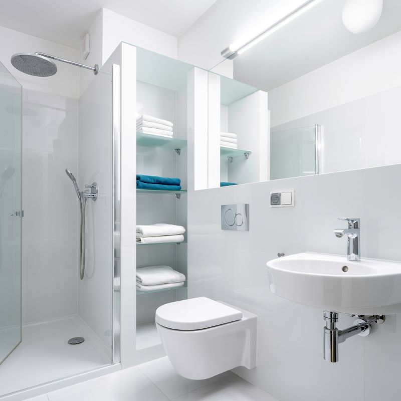 Shower with Niche Storage